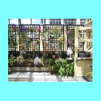 Conservatory 019.jpg